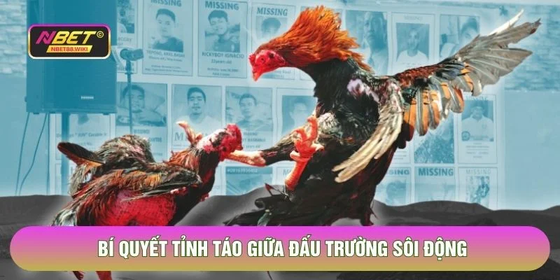 Bí quyết tỉnh táo giữa đấu trường sôi động