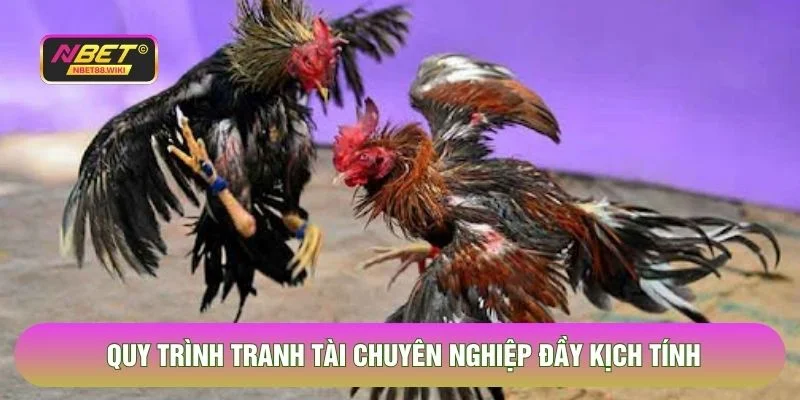 Quy trình tranh tài chuyên nghiệp đầy kịch tính