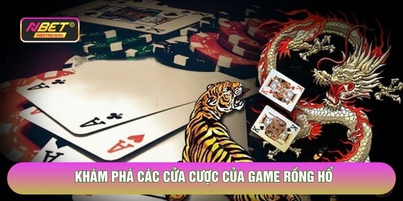 Khám phá các cửa cược của game Rồng Hổ