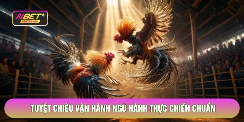 Tuyệt chiêu vận hành ngũ hành thực chiến chuẩn