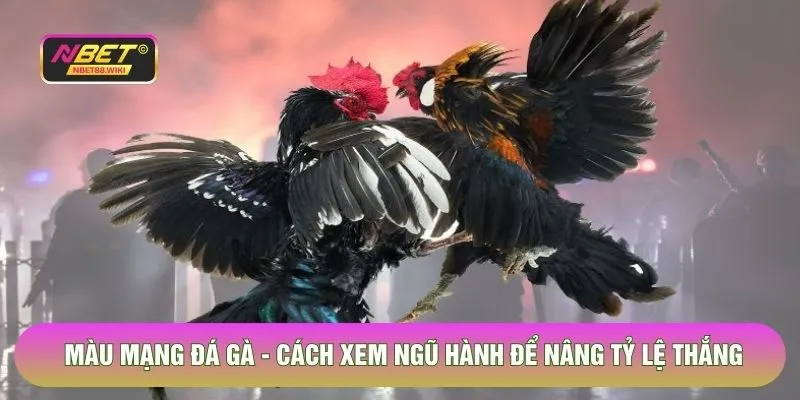 Màu Mạng Đá Gà - Cách Xem Ngũ Hành Để Nâng Tỷ Lệ Thắng