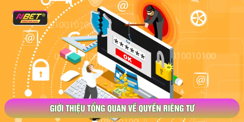 Giới thiệu tổng quan về quyền riêng tư 